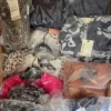 A1005 2 The photo shows a package with clothing in the category A.