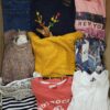 The photo shows a package with clothing in the category TSC.