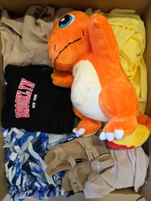 The photo shows a package with clothing in the category BSN.